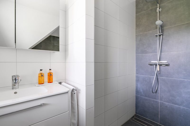 23 Hoogelandt 106F Texel - Badkamer  (2)