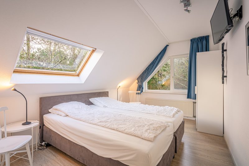 Kamperfoelie 29