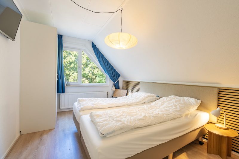 Kamperfoelie 37
