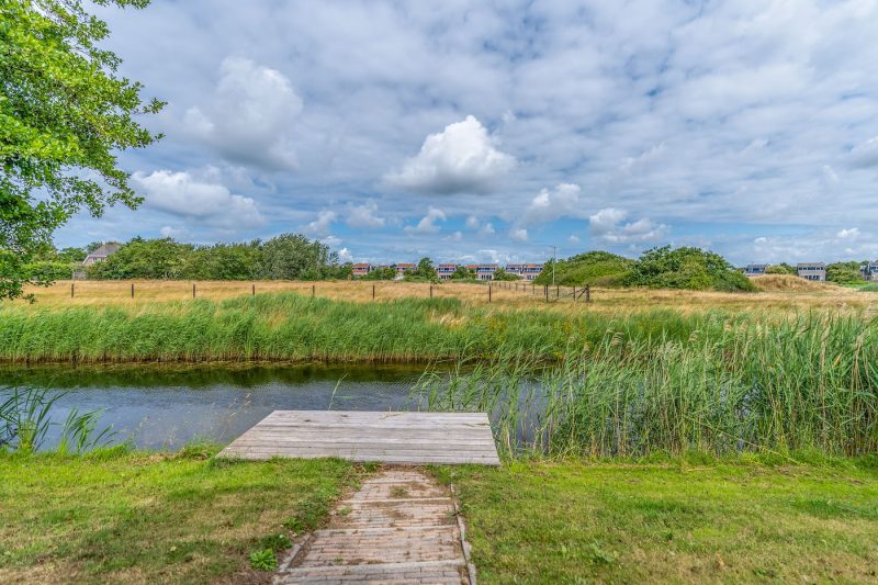 13 Kamperfoelie 69 Texel - Tuin (2)