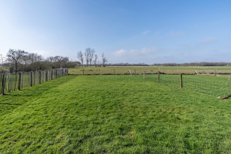 13 Nieuwlanderweg 75 Texel - Tuin (2)