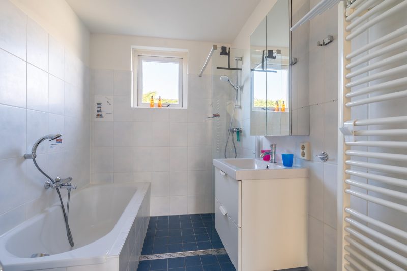 11 Orchismient 2 Texel - Badkamer 1