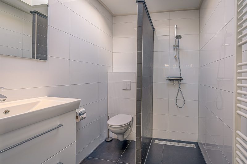 11 Californieweg 9a Texel - Badkamer