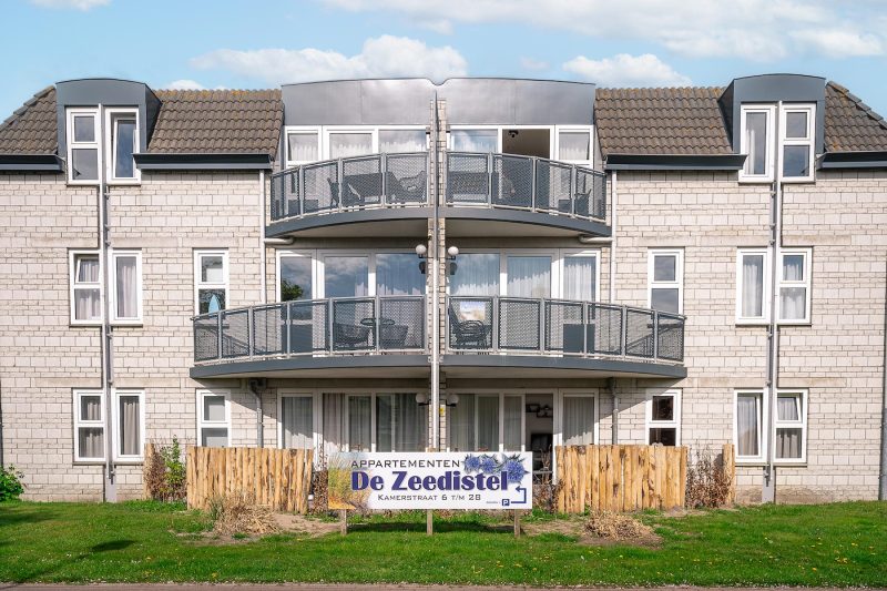Zeedistel 28